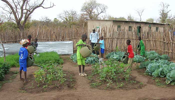 La sécurité alimentaire est nécessaire pour le maintien des jeunes sur place